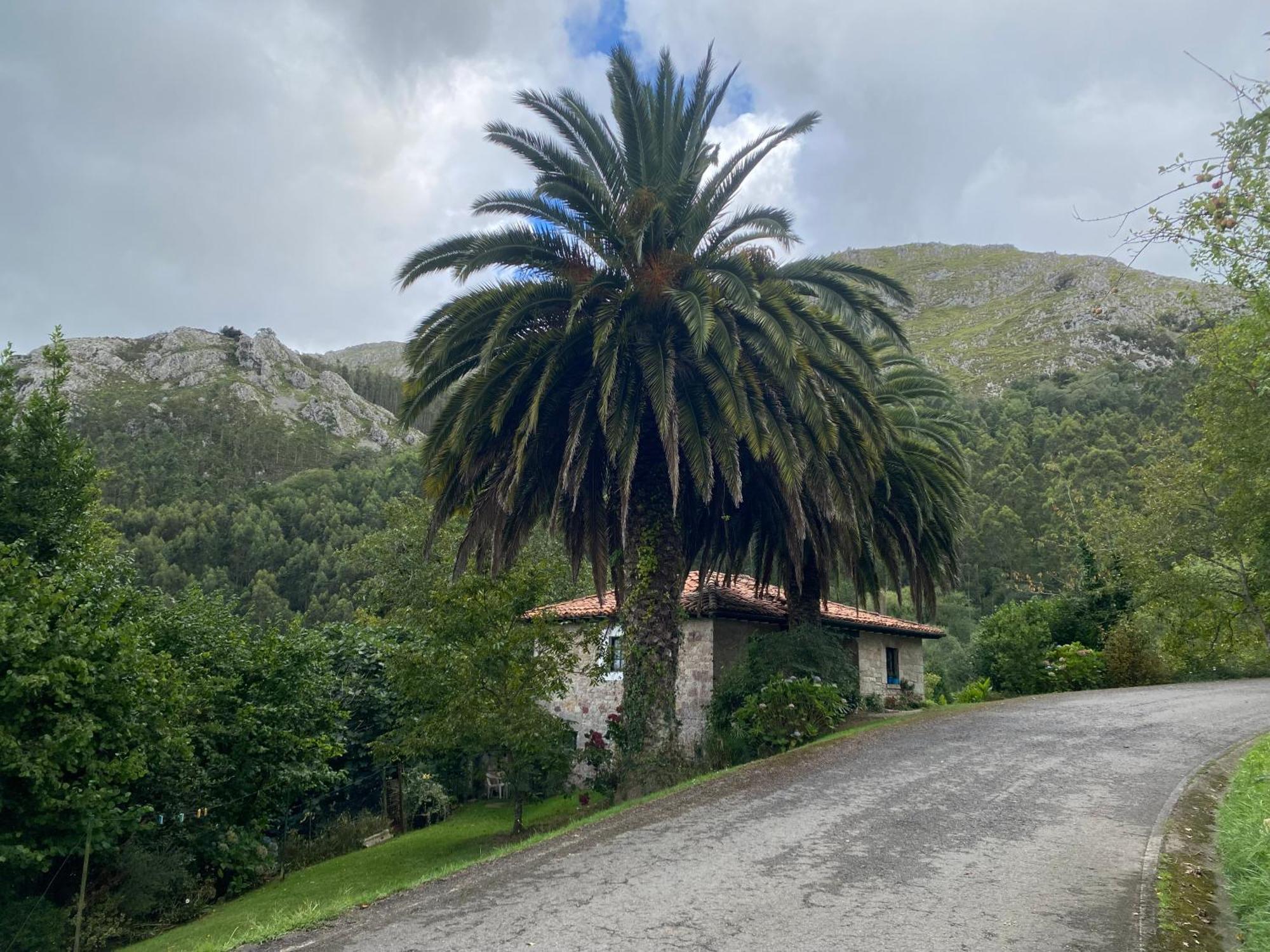 Casa Estilo Rural Con Jardin Entre Playa Y Montana Villa Caravia Exteriör bild